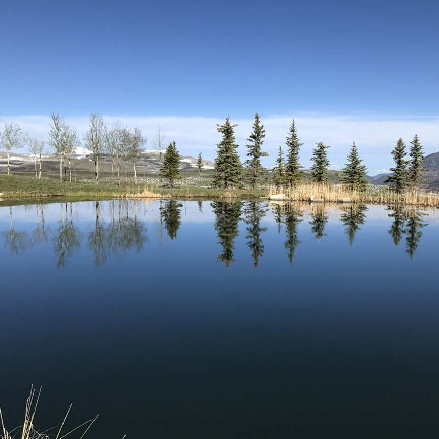 West Meadows Lot 15
